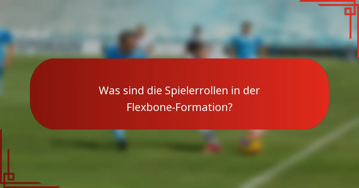 Was sind die Spielerrollen in der Flexbone-Formation?