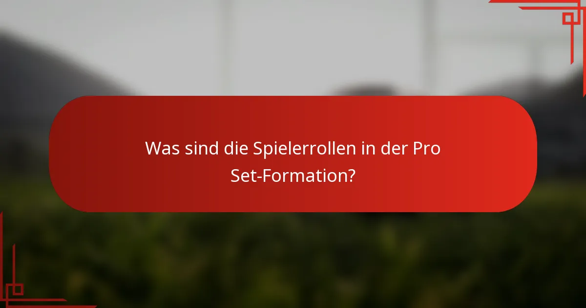 Was sind die Spielerrollen in der Pro Set-Formation?