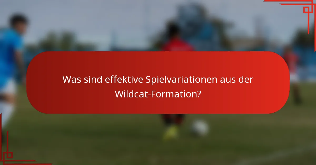 Was sind effektive Spielvariationen aus der Wildcat-Formation?