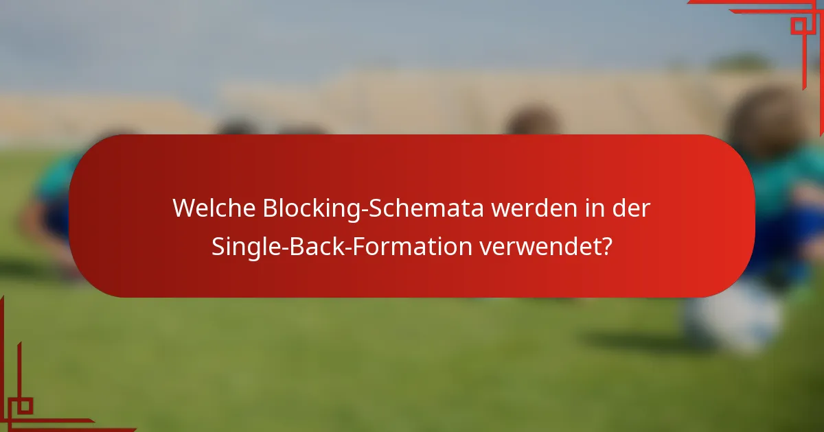 Welche Blocking-Schemata werden in der Single-Back-Formation verwendet?